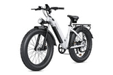 CycVerve All-terrain Electric Bike